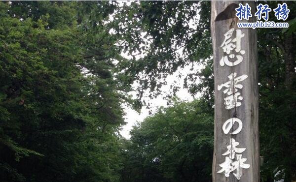 日本最恐怖的地方排名 富士山自杀森林尸体比树还多
